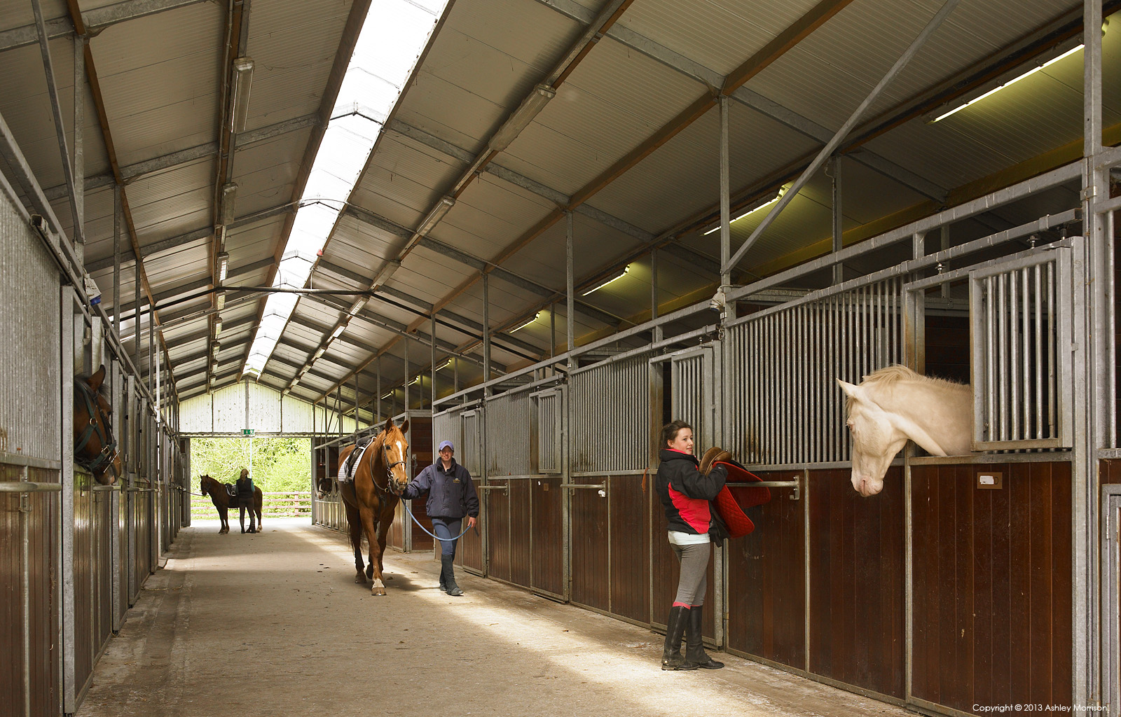The Equestrian Centre stables at Mount Juliet Country Estate in County Kilkenny by Ashley Morrison.