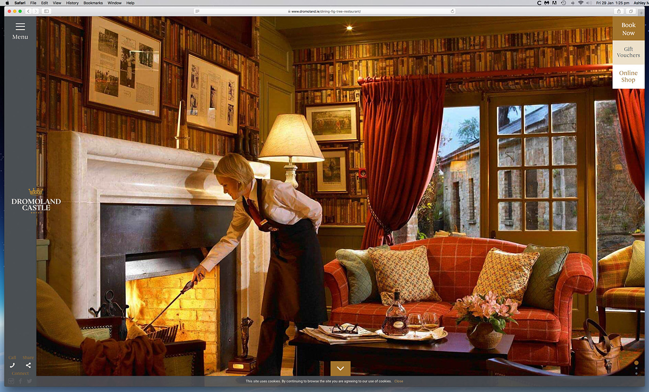 Our work as seen on the Fig Tree Restautant page on Dromoland Castle's website.