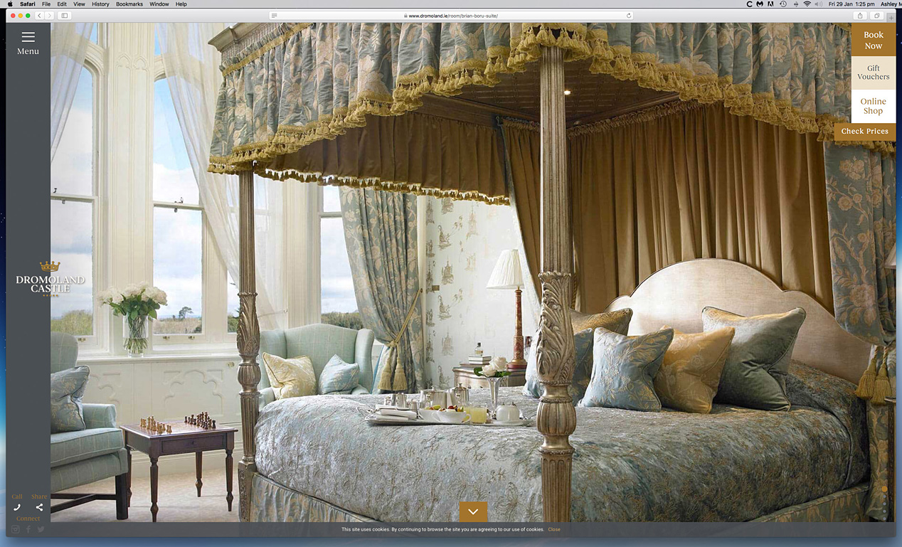 Our work as seen on the Brian Boru suite page on Dromoland Castle's website.