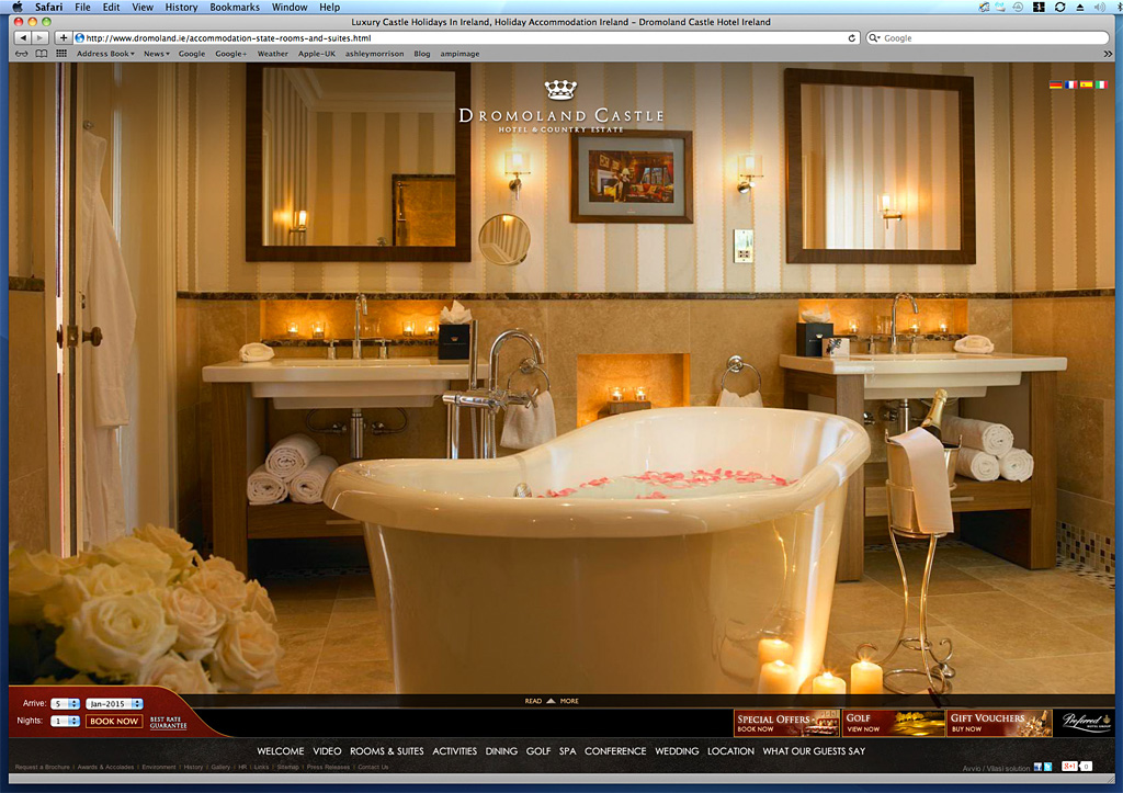 Screen shot showing how our image has been used on the State rooms and Suites page of Dromoland Castle's website.